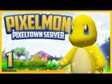 Pixelmon Server! PixelTown 