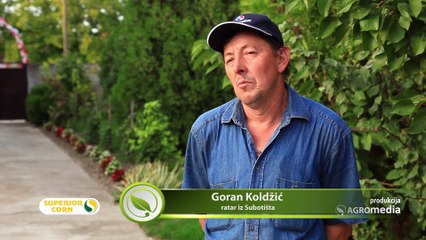 LK hibridi kukuruza – jer svaki dobro rađa_445_26.03.2016.