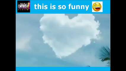 This is so funny video summer - OMG VIDEO