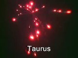 Weco Taurus Silvester 05-06