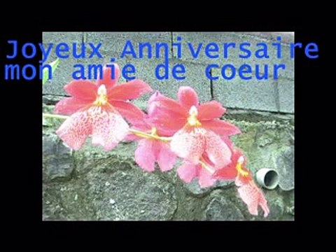 Joyeux Anniversaire Francoise Video Dailymotion