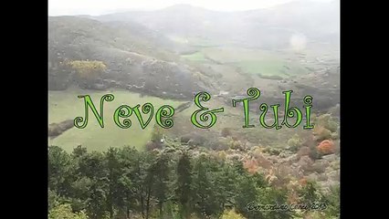 Neve & Tubi: A Dynamic Duo