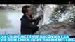 Un court-métrage racontant la vie d'un chien signé Shawn Welling ! Des extraits dans la minute chien #180