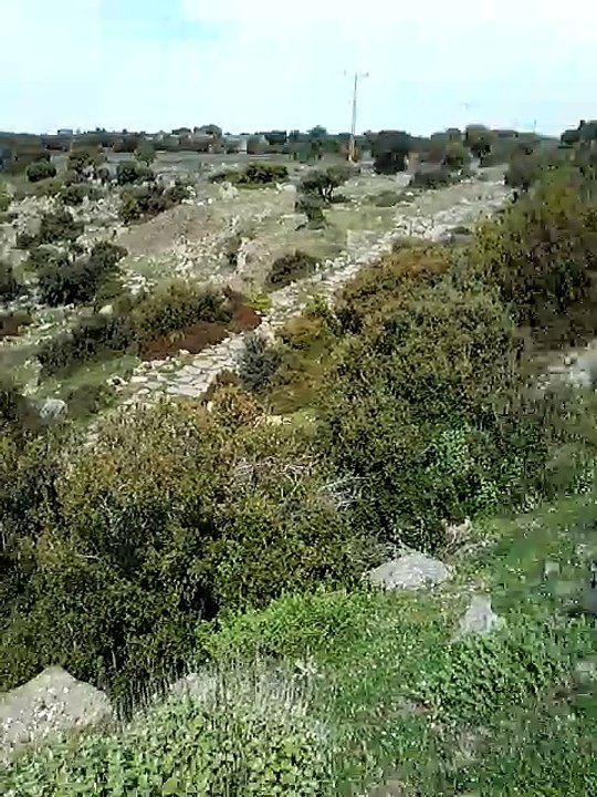 İzmir-Kusadasi-Selçuk-Efes Profesyonel Turist Rehberi Geziyor ve Anlatıyor-Assos surlar ve antik yol