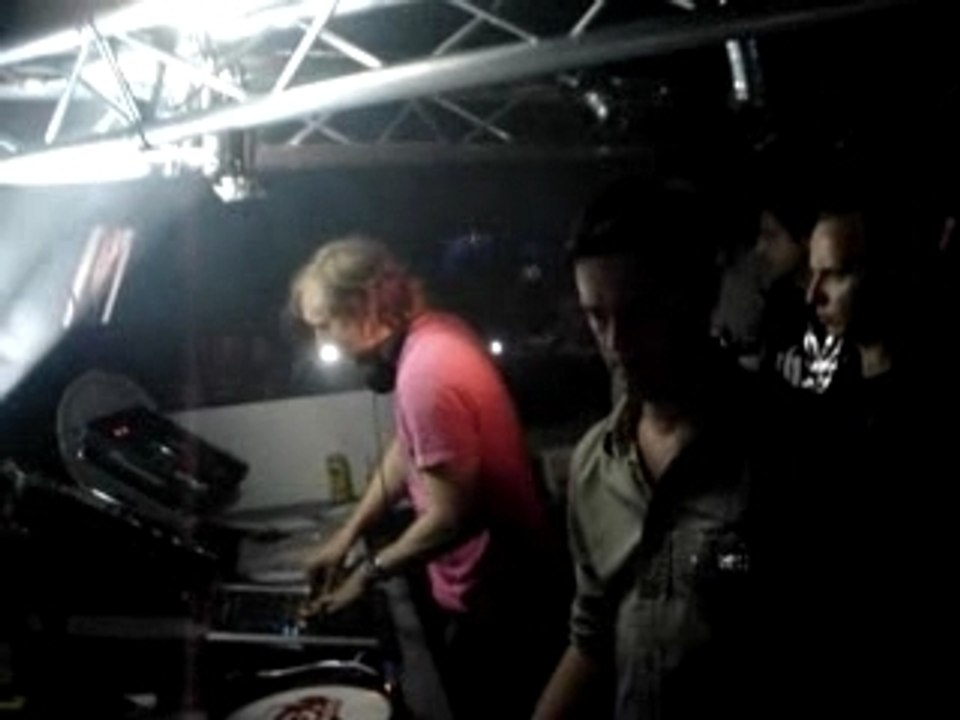 david guetta chat noir