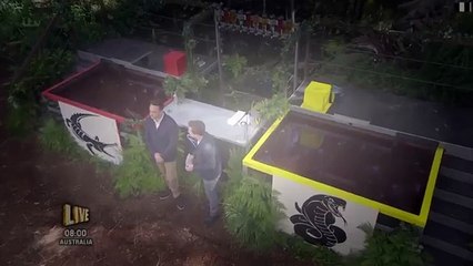 Im a Celebrity Full HD 48