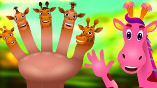 Finger Family Hippo Animal Finger Family Nursery Rhymes Songs For Children