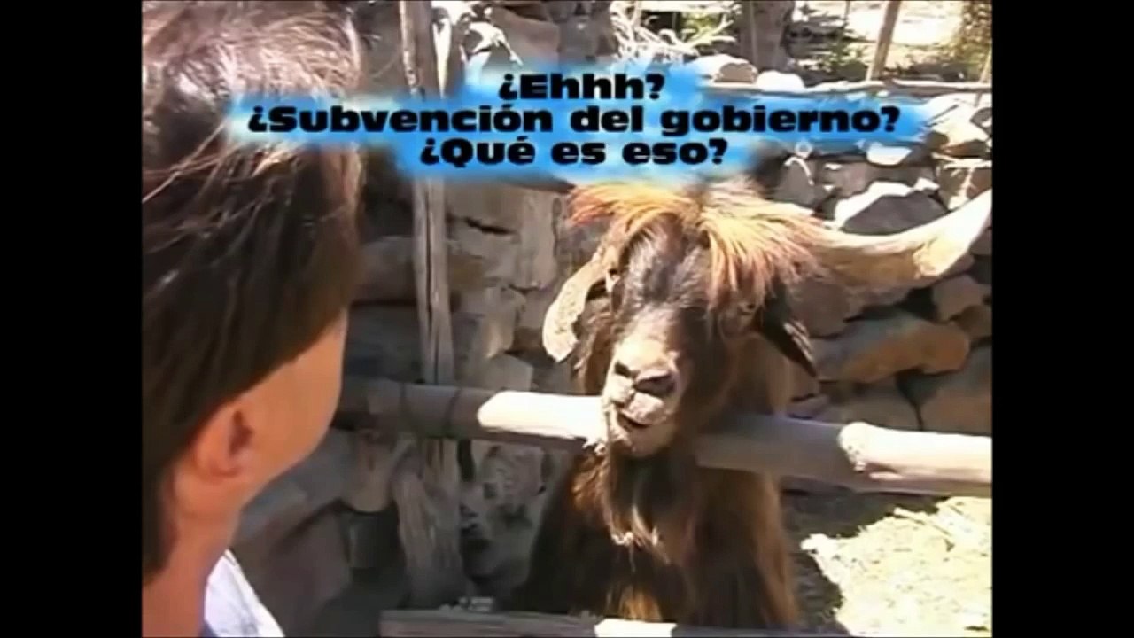 Tüküren Keçi (Komik)