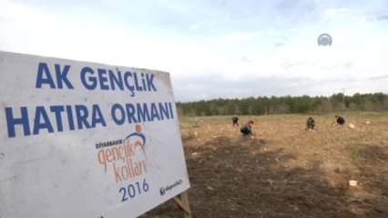 Şehitlerin Anısına Diyarbakır'da Hatıra Ormanı