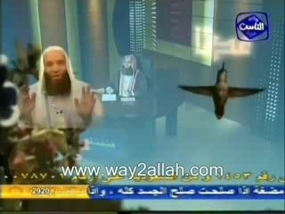 FATAWA MOHAMED HASSAN