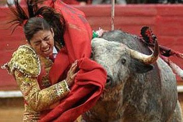 BullFight Most Dangerous Sports in The World | Watch Epic Moments Compilation