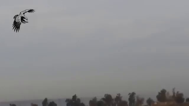 Буратино в Ираке выжигает Игил. ч.1 Iraqi TOS 1A in Action against ISIS Battle of Baiji