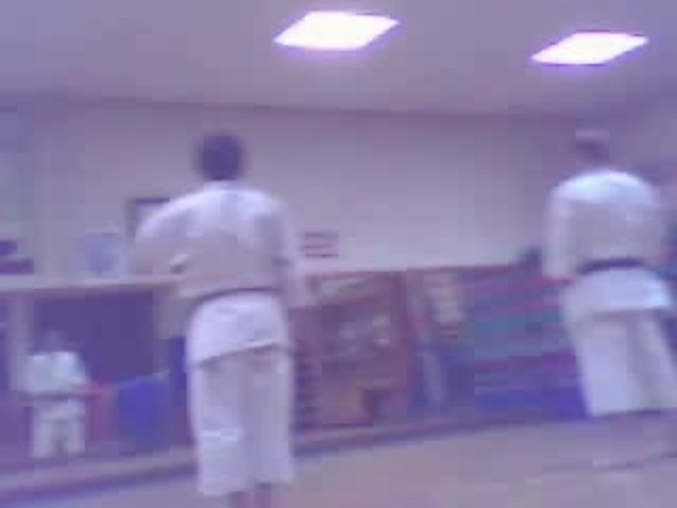 Kata kanku sho où l'art d'être synchro