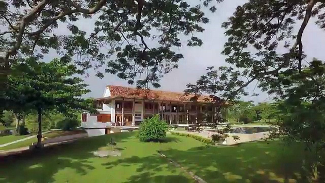 Sinú 50