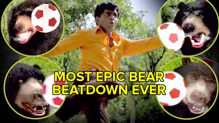 Most Epic Bear Beatdown Ever