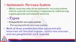 Somatic System & Autonomic Nervous System ( Sympathetic Nervous System )