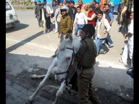 BJP MLA Attacks a Police Horse in Dehradun Protest | Breaks Horse’s Leg