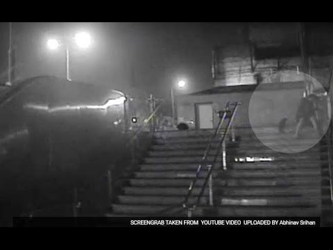 Man stabs 3 dogs, 1 puppy outside metro station in Delhi