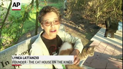 24000 chats dans un ranch en Californie tenu par cette vielle dame !