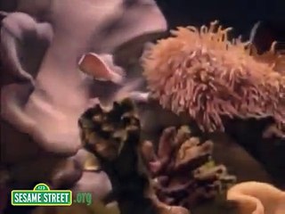 Sesame Street : Ocean Emotion