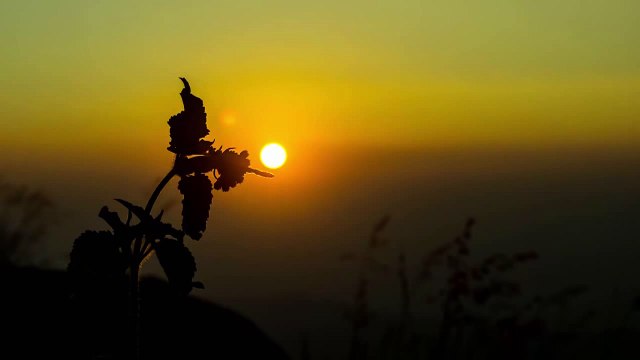 calm relaxation music guitar. спокойная релакс музыка гитары