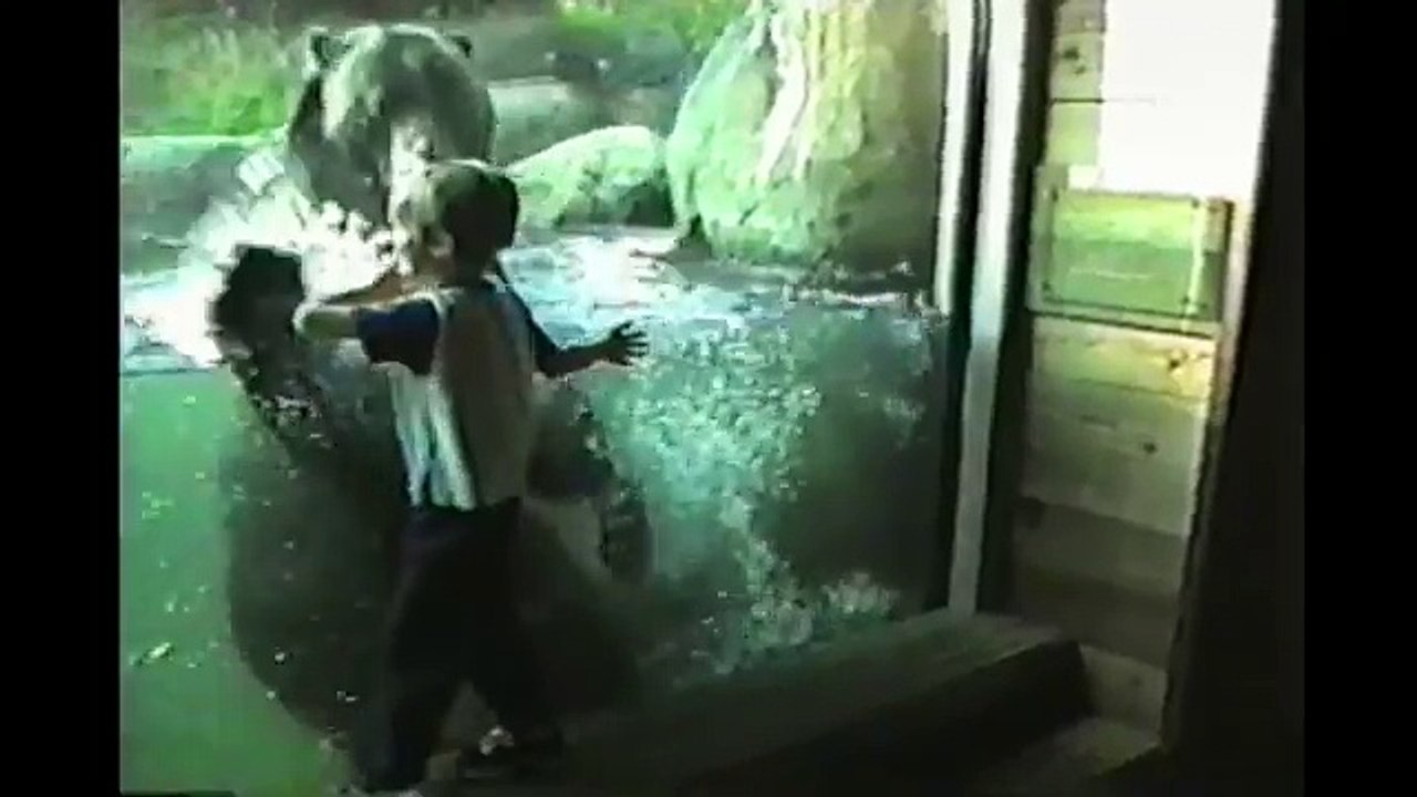 Kids At The Zoo Compilation