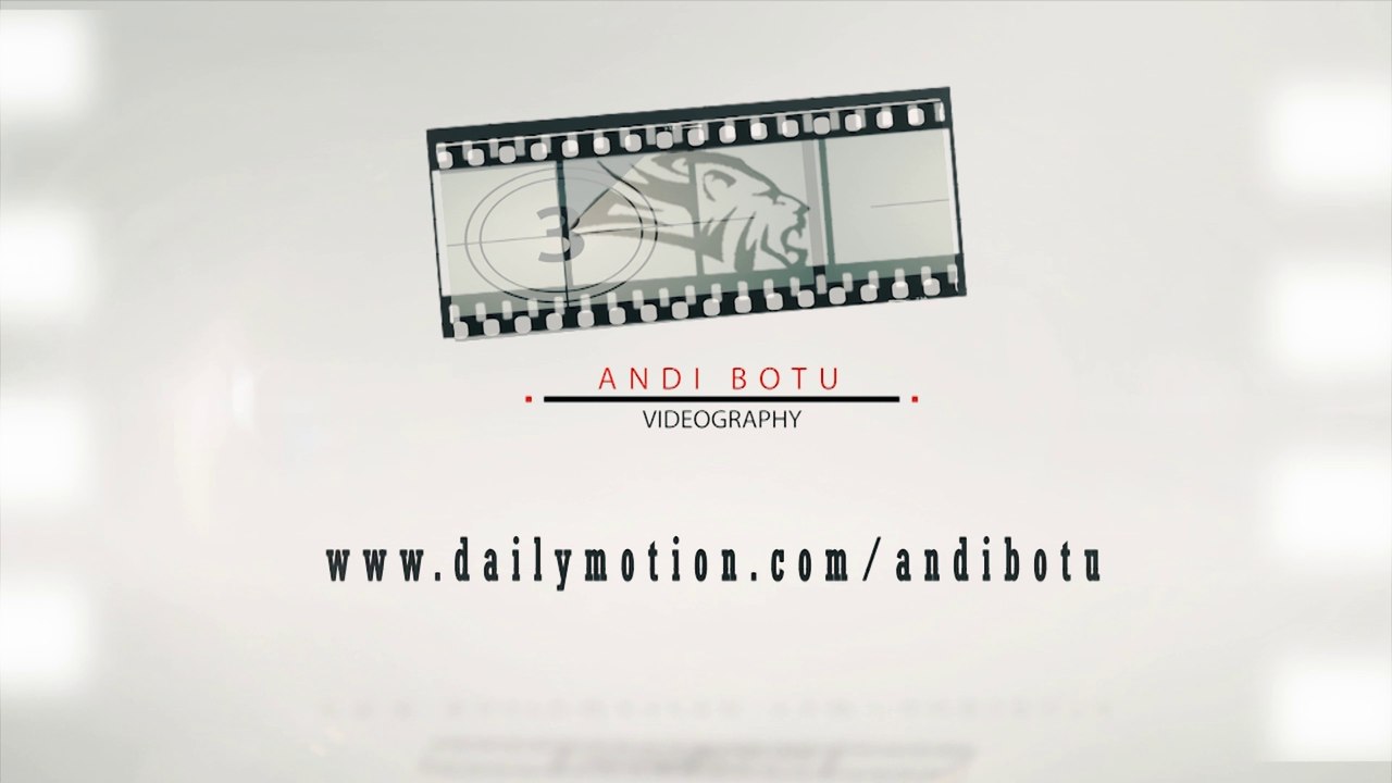 Logo reveal Andi Botu