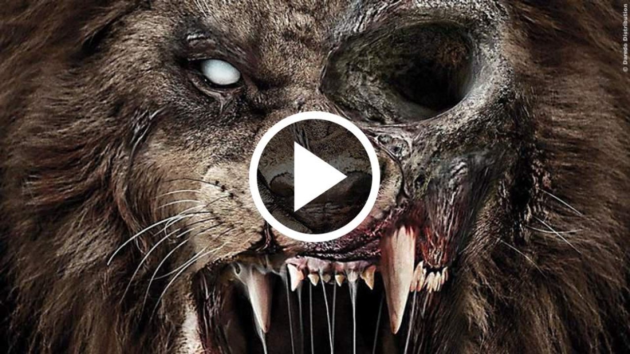 ZOOMBIES - Zombietiere kommen! | News