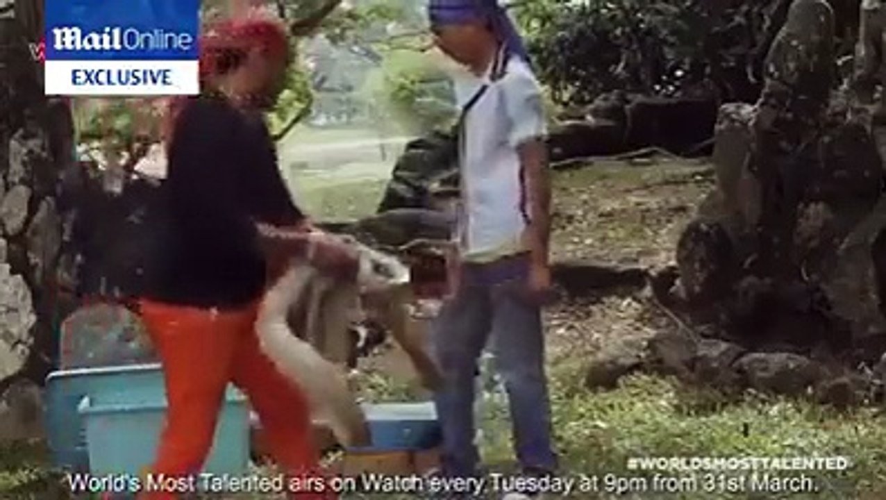 Resmen Kobrayla Dalga Geçiyor