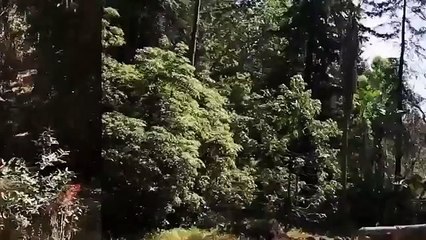 Shake It Up S02E24 Boot It Up