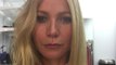 Gwyneth Paltrow used to let bees sting her for beauty