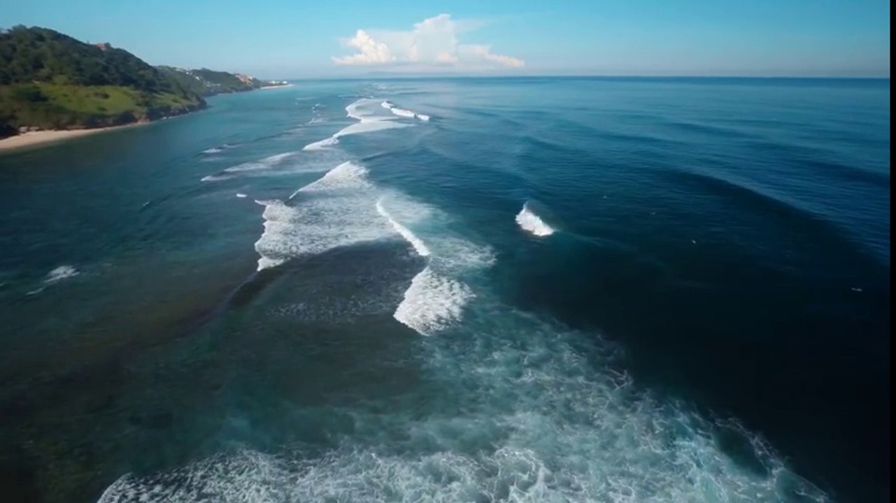 Floral - Need To Feel Loved (Alle Farben Remix) [Lyric Video]