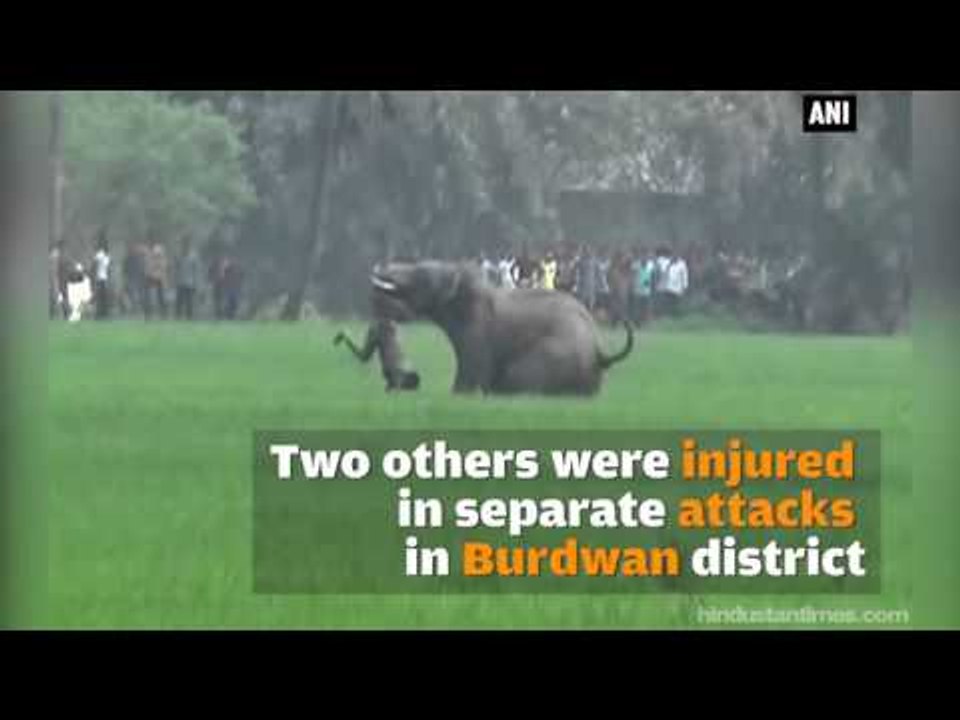 Horrifying elephant attack kills fifth person in West Bengal