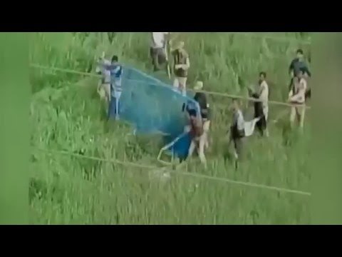 Watch | Leopard enters residential area in Uttarakhand, killed