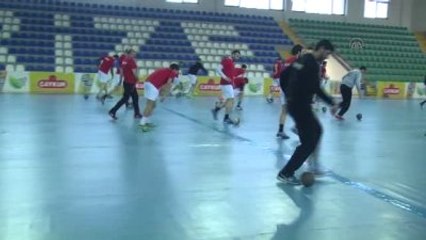 Hentbol Erkekler Avrupa Şampiyonası Eleme Grubu