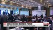 SME's at forefront of Korea-Mexico business forum