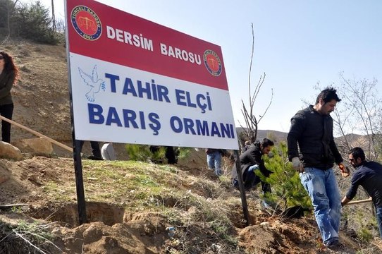 Tunceli Barosu, Tahir Elçi anısına Barış Ormanı oluşturdu