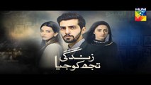 Zindagi Tujh Ko Jiya Episode 27 Promo HUM TV Drama 5 April 2016