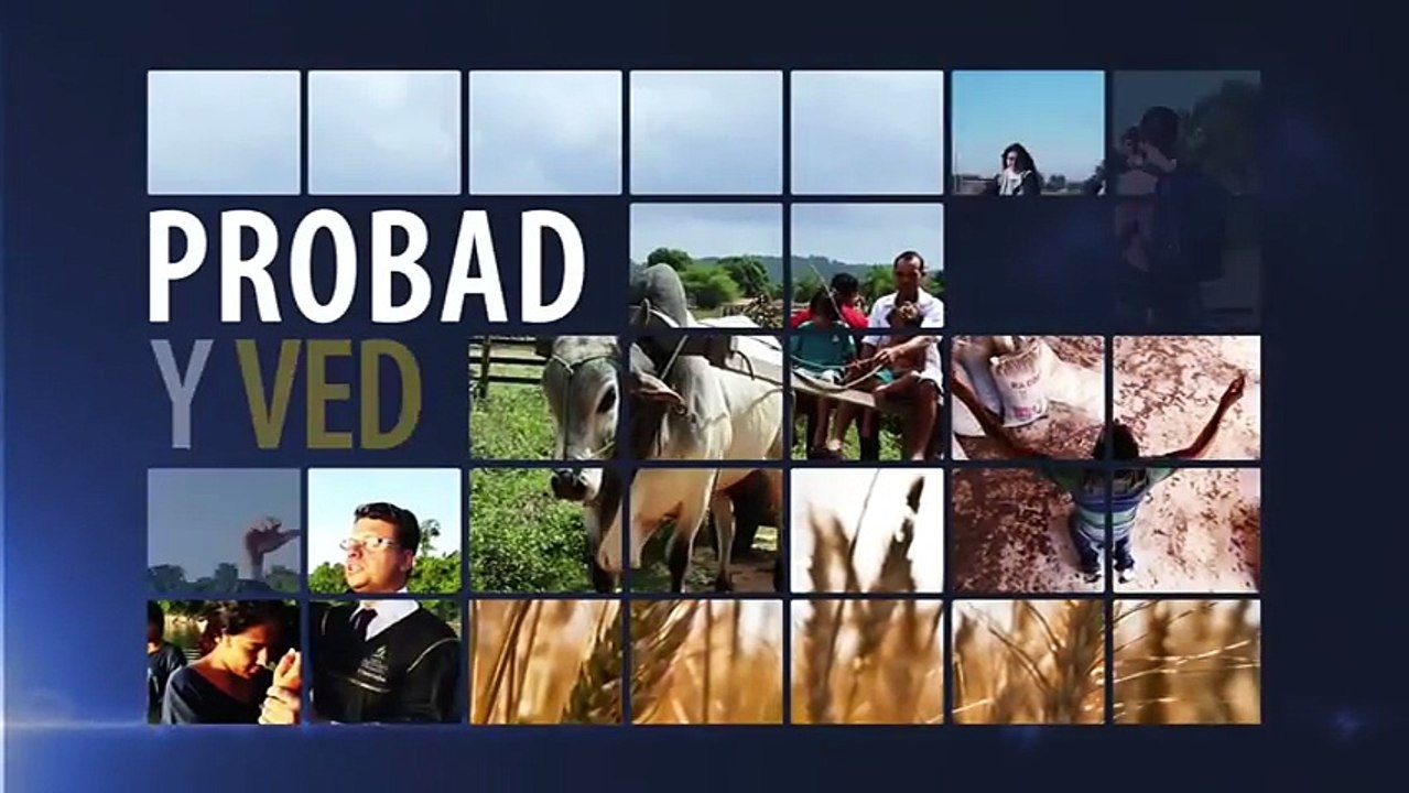 Reflexiones Cristianas. "El Registro De Denuncia Cancelado"