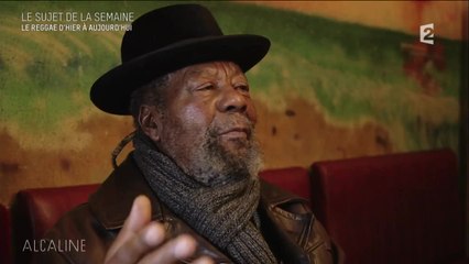 Alcaline, le Mag : Le reggae d'hier à aujourd'hui