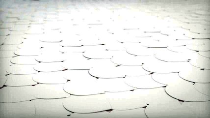 Michael Tornabe - Logan Bus Company - CrunchBase