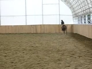 Exercice Obs. Diagonal - Moi et Canelle