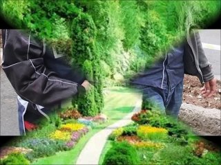 Cennet vadeden Uzaylı Problemlere kesin çözüm AKILLI PARA