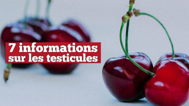 7 choses que vous ne savez peut-être pas à propos des testicules
