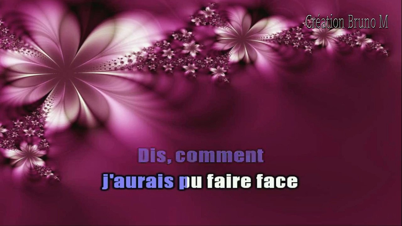 Johnny Hallyday - Sang pour sang KARAOKE / INSTRUMENTAL