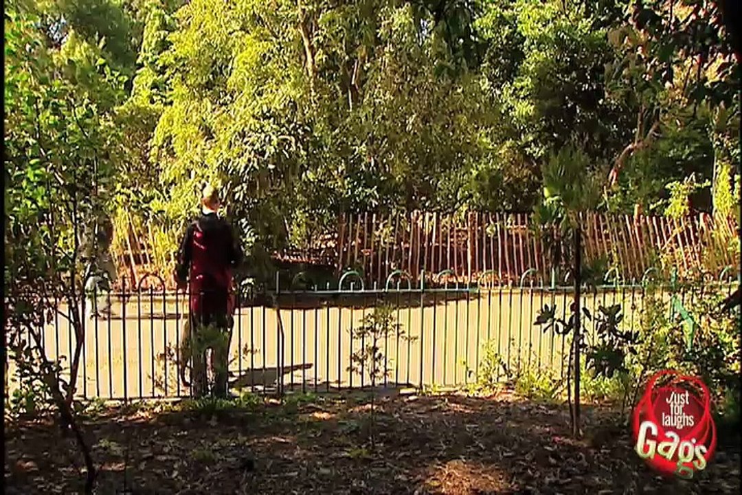 Double Dog Prank