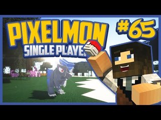 Minecraft Pixelmon Single Player Season 2 Ep.65 Fossil Training!
