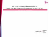 ICB - IPMA Baseline v3: Results Orientation Competencies 6 & 7