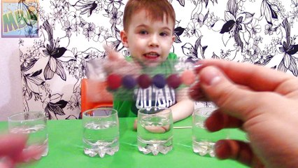 Опыты+для детей. Изучаем как растения пьют водичку.