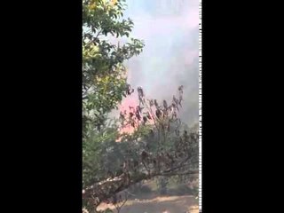 "WhatsAppCri Quema de herbazales en Monte Oscuro, Cáceres, Arraiján